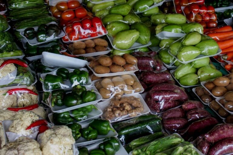 The Role of Plastic Packaging in Preserving Food Quality and Safety